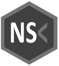 NS logo