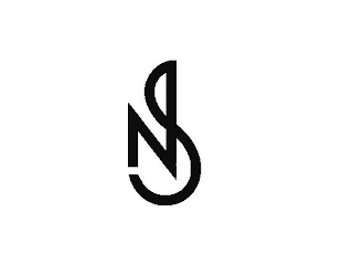 NS logo