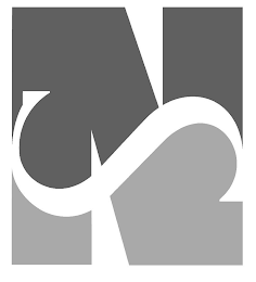 NS logo