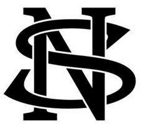 NS logo