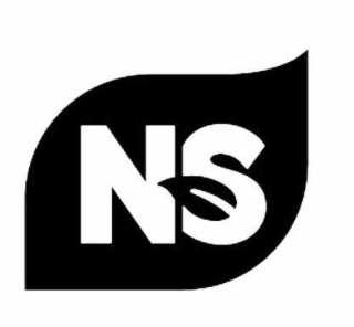 NS logo