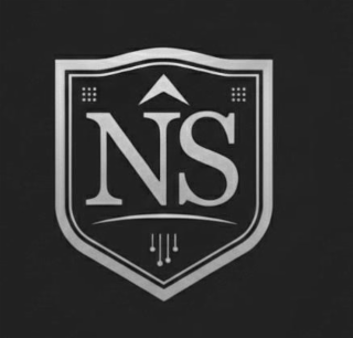 NS logo