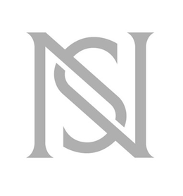 NS logo