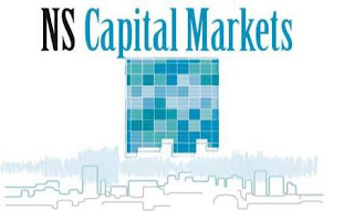 NS CAPITAL MARKETS logo