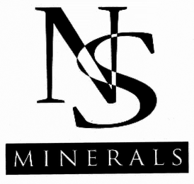 NS MINERALS logo