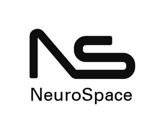 NS NEUROSPACE logo