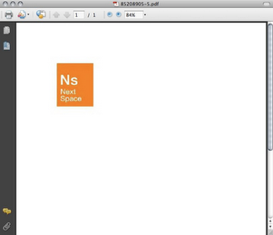 NS NEXTSPACE logo