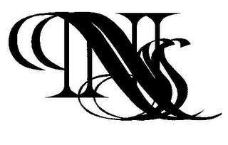 NS NS logo