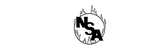 NSA logo
