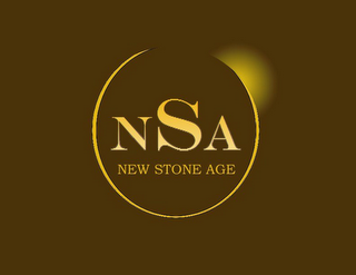 NSA NEW STONE AGE logo