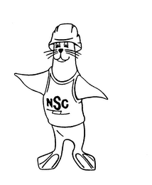 NSC logo