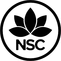 NSC logo