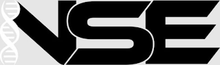 NSE logo