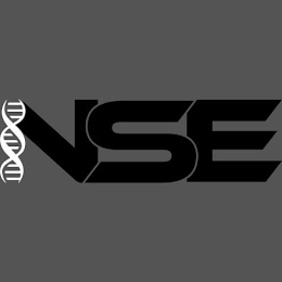 NSE logo