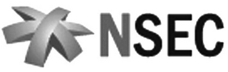 NSEC logo