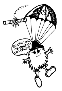 NSF SO LIFE LIKE IT'S UNREAL CALL CARICO logo