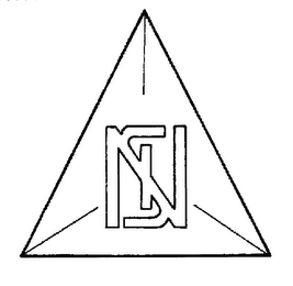 NSI logo