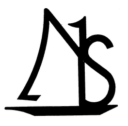 NSI logo
