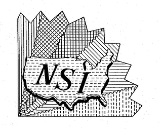 NSI logo