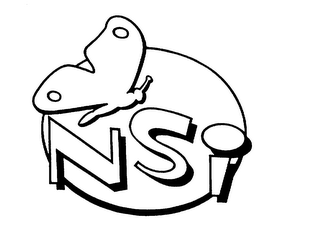 NSI logo