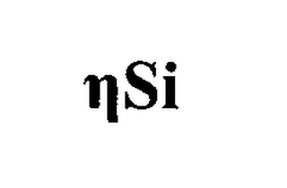 NSI logo
