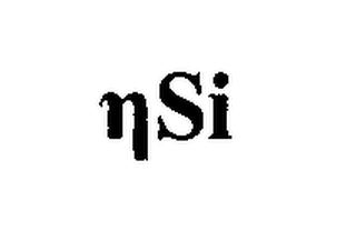NSI logo
