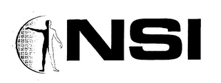 NSI logo