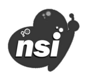 NSI logo