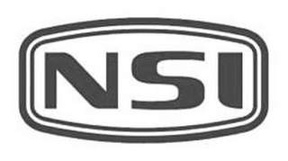 NSI logo