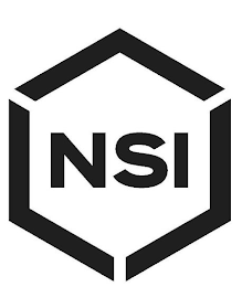 NSI logo