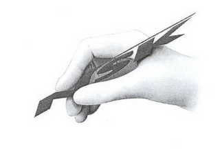 NSK logo