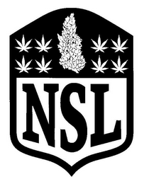 NSL logo