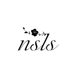 NSLS logo