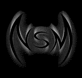 NSM logo
