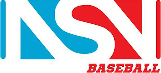 NSN BASEBALL logo