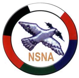NSNA logo