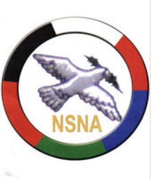 NSNA logo