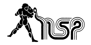 NSP logo
