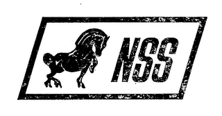 NSS logo