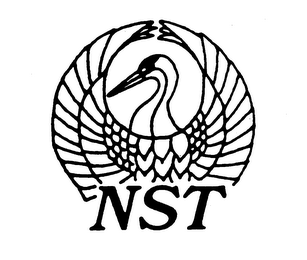 NST logo