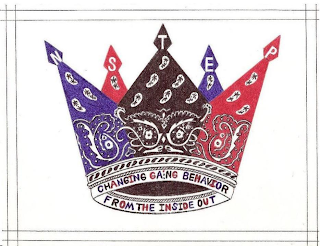 NSTEP CHANGING GANG BEHAVIOR FROM THE INSIDE OUT logo