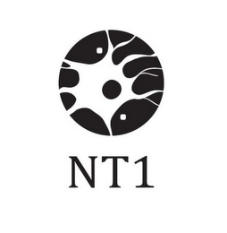 NT 1 logo