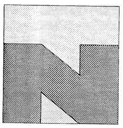 NT logo