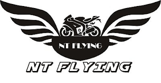 NT FLYING logo