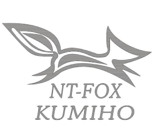 NT-FOX KUMIHO logo