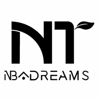 NT NBADREAMS logo
