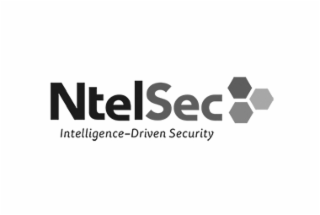 NTELSEC INTELLIGENCE-DRIVEN SECURITY logo