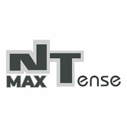 NTENSE MAX logo