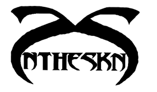 NTHESKN logo