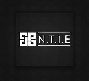 N.T.I.E logo